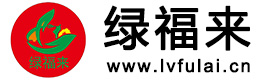 �G�����B(t��i)ľ��