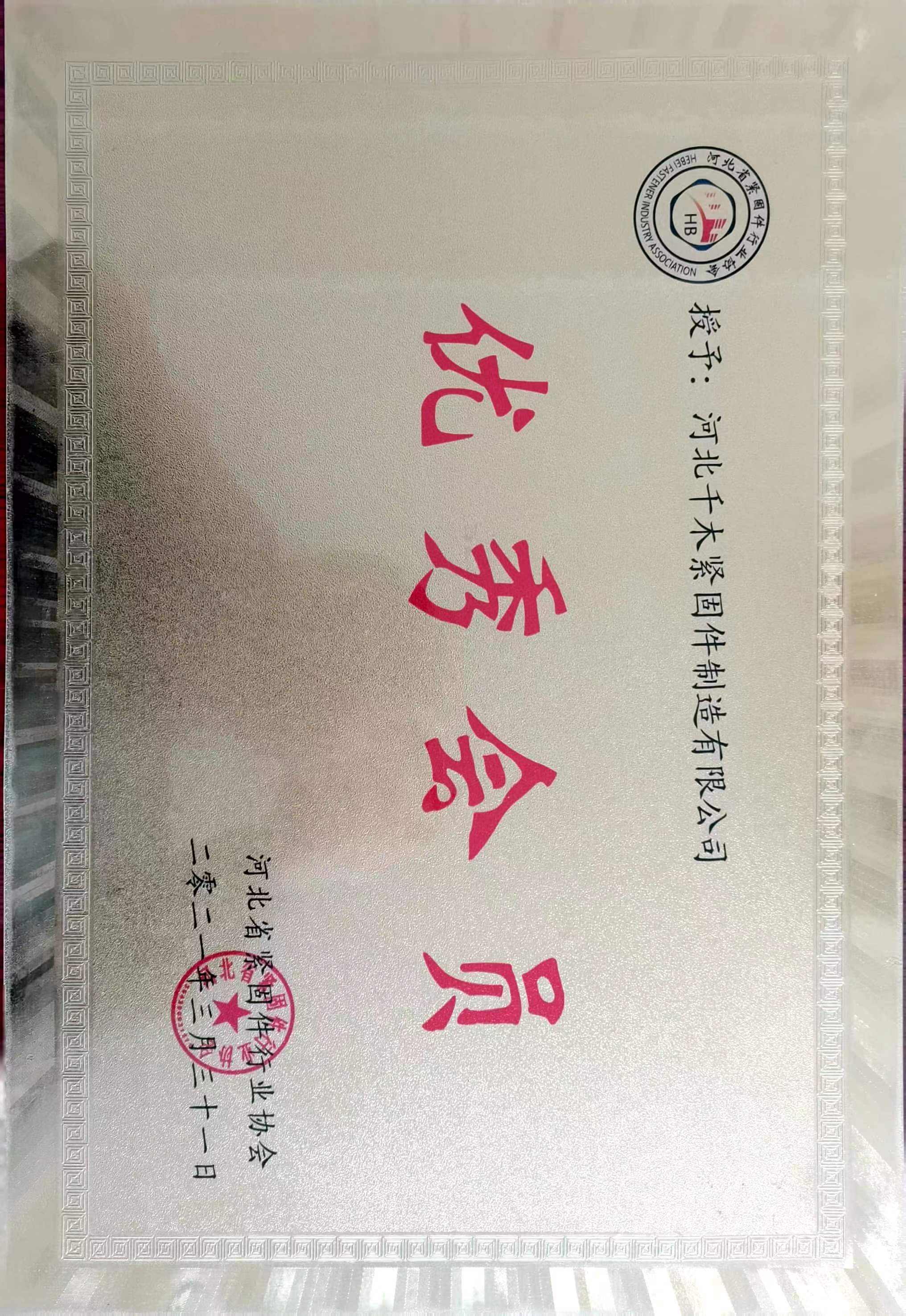 河北緊固件行業(yè)(yè)協(xié)(xié)會優(yōu)(yōu)秀委員